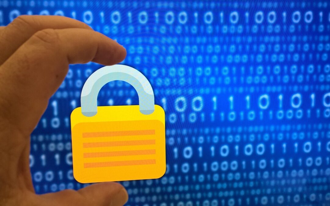 Perlindungan Data dan Privasi dalam Sistem e-Government