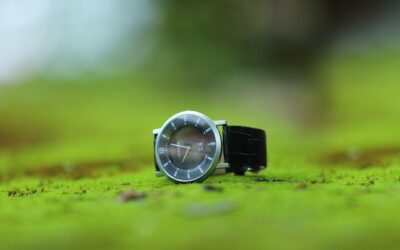 Masa Depan e-Government di Era Web 3.0